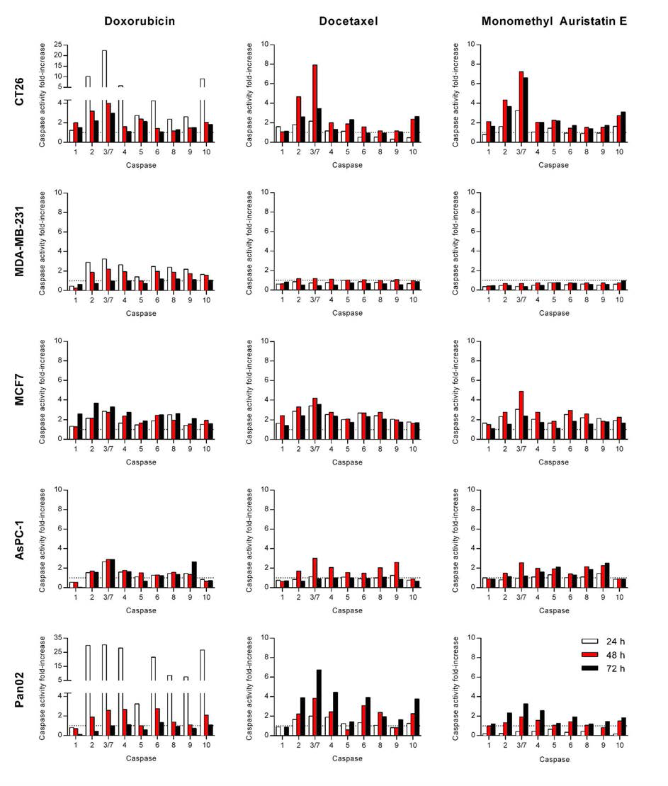 세포독성 항암제에 의한 여러 암세포들에서의 caspase 발현 패턴