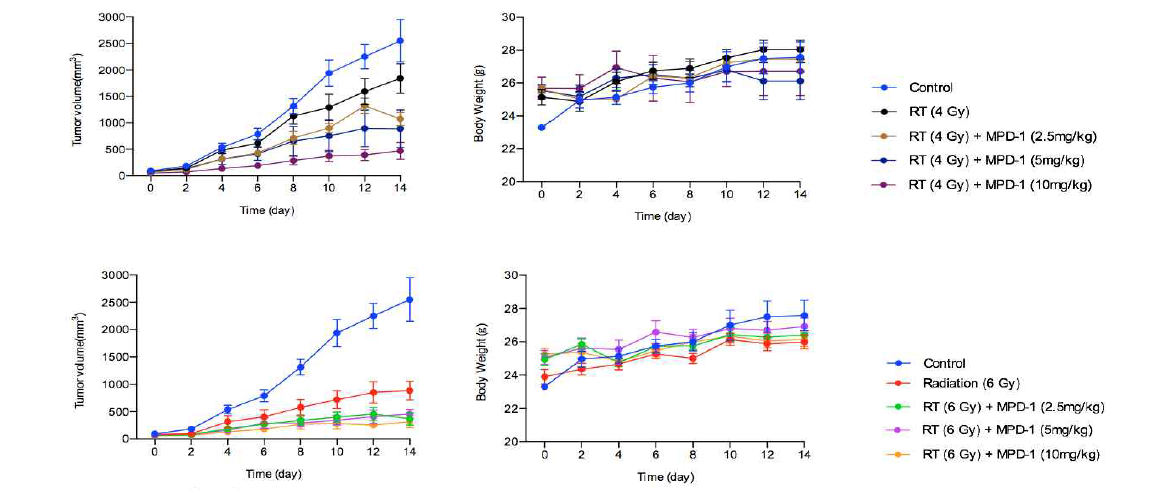 방사선 투여 용량에 따른 EMC-DEVD-DOX의 SCC7 allograft 모델에서의 항암 효과 및 몸무게 변화 추이