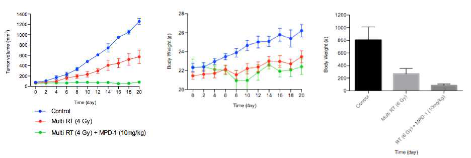 EMC-DEVD-DOX와 방사선치료 병용 시 PAN02 allograft 모델에서의 항암효능 및 몸무게 변화 추이