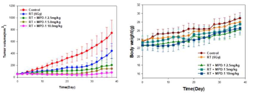 EMC-DEVD-DOX와 방사선치료 병용 시 PAN02 allograft 모델에서의 항암효능 및 몸무게 변화 추이