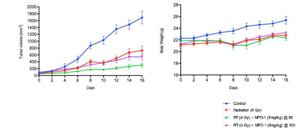 PAN02 allograft 모델에서의 약물투여 시점의 종양 크기에 따른 EMC-DEVD-S-DOX와 방사선 병용 투여의 항암효능 및 몸무게 변화 추이