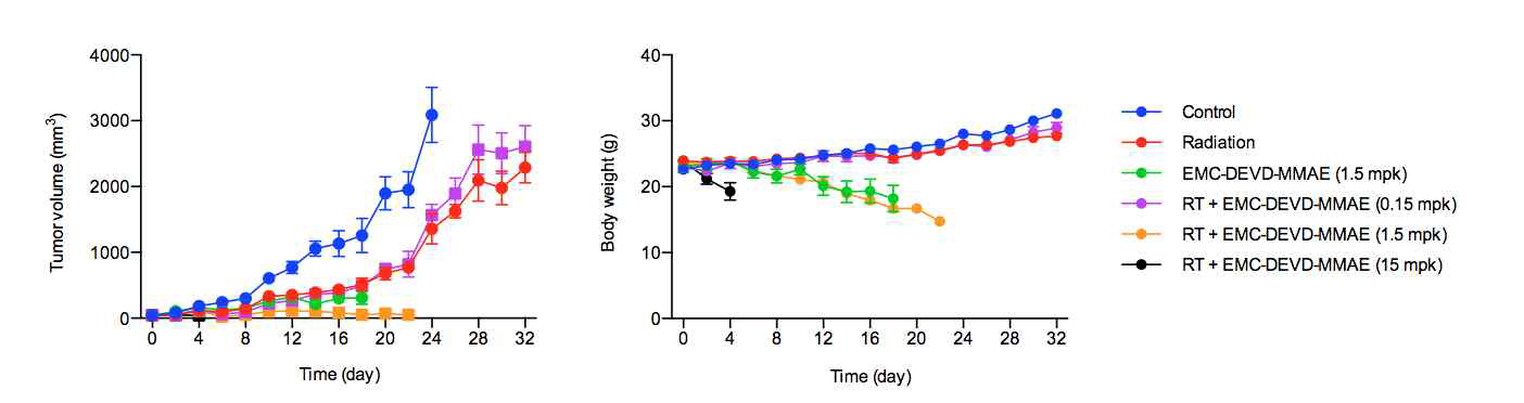 EMC-DEVD-MMAE와 방사선치료 병용 시 MDA-MB-231 xenograft 모델에서의 항암효능 및 몸무게 변화 추이