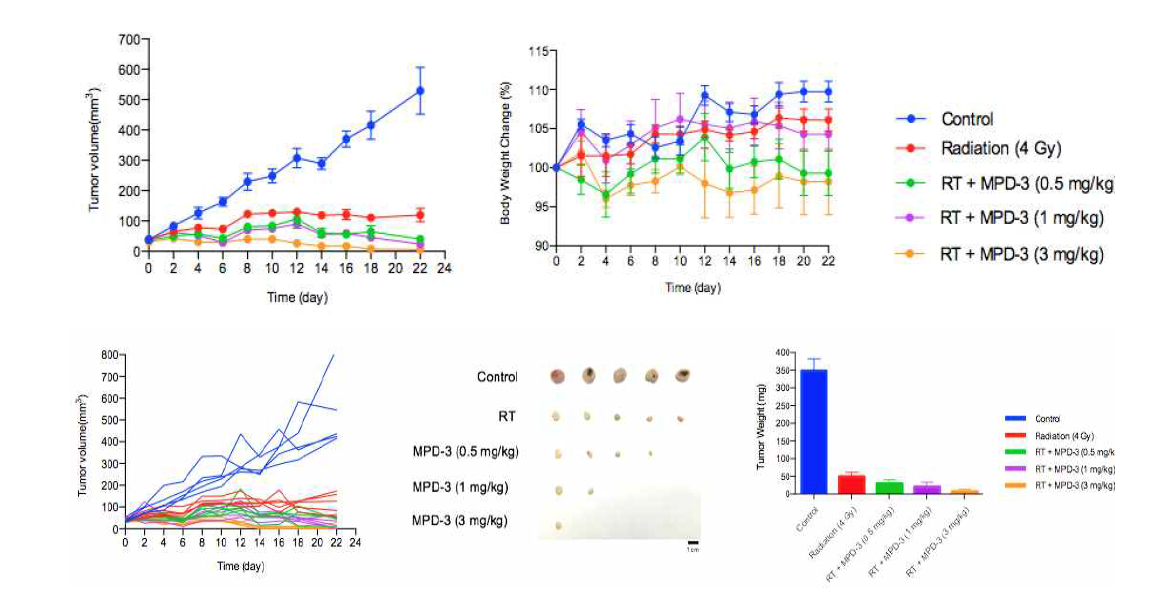 EMC-DEVD-DCX와 방사선치료 병용 시 MDA-MB-231 xenograft 모델에서의 항암효능 및 몸무게 변화 추이