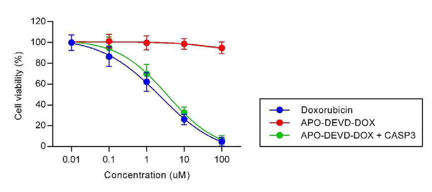 MDA-MB-231에서의 APO-DEVD-DOX의 caspase에 의한 활성화 전후 세포독성 활성