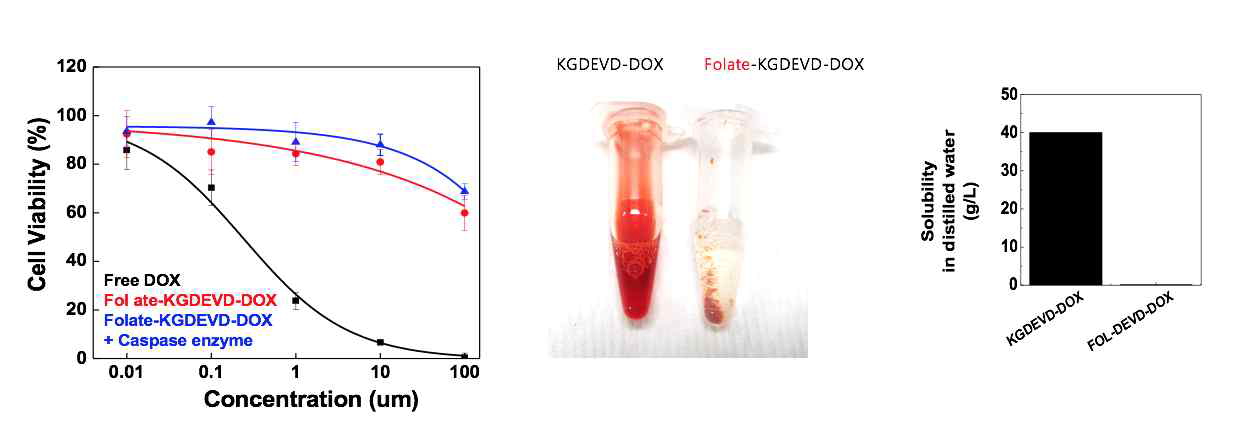 MDA-MB-231에서의 Folate-DEVD-DOX의 caspase에 의한 활성화 전후 세포독성 활성, 수용액에서의 용해도 평가