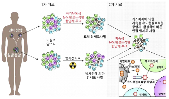 연구 개발 대상의 전략적 개요