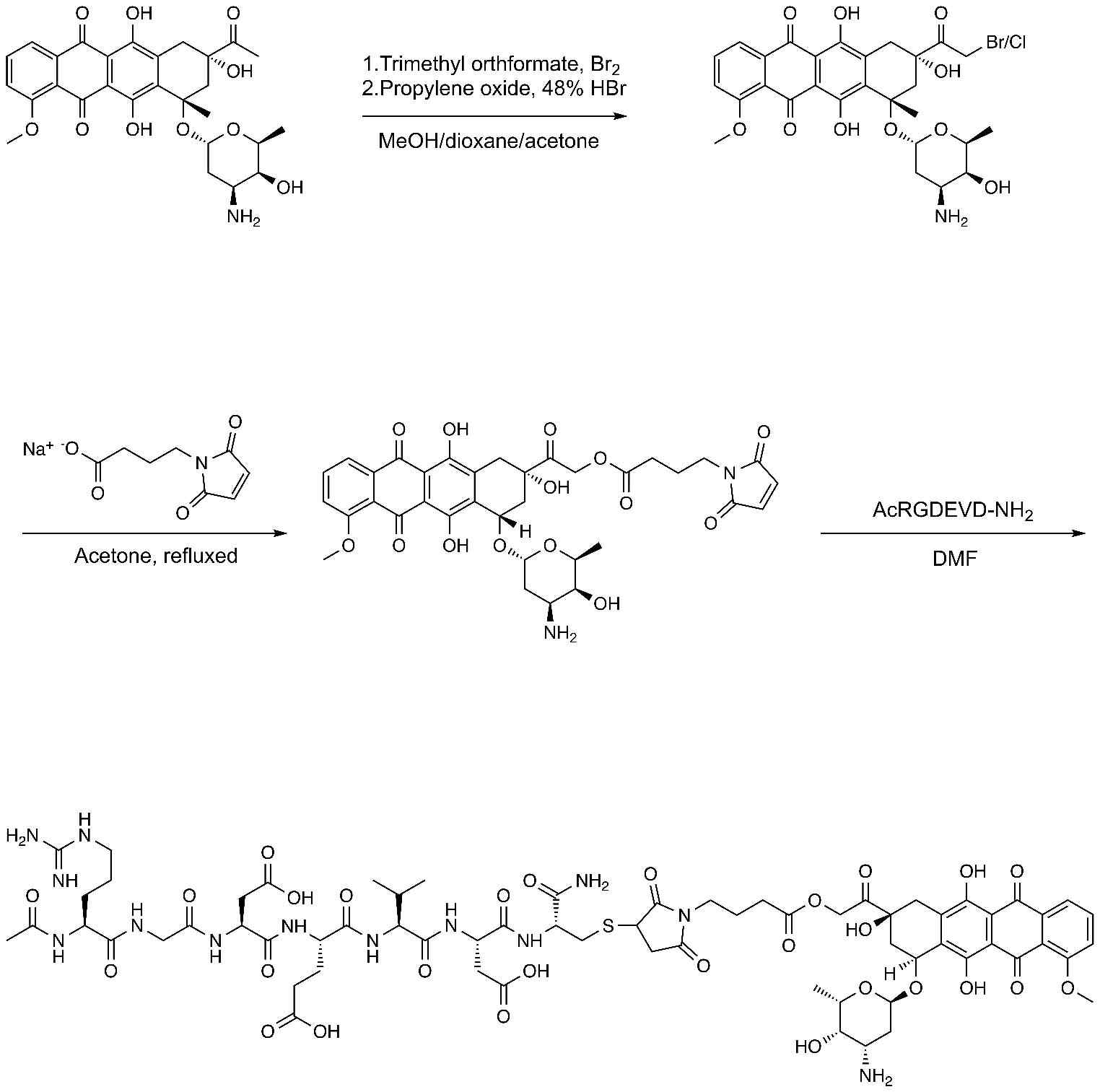 RGDEVD-DOX의 합성 모식도