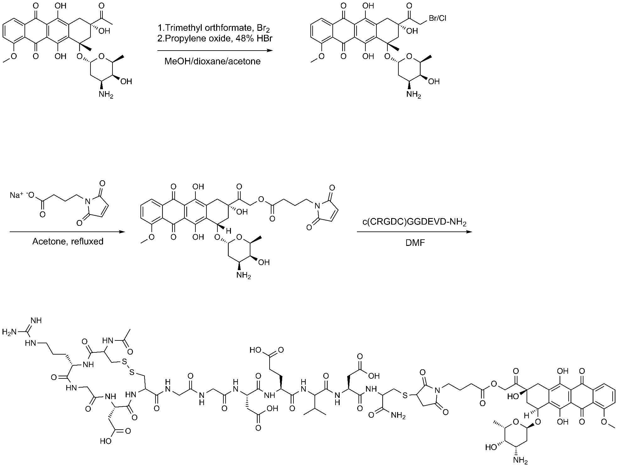 c(CRGDC)GGDEVD-DOX의 합성 모식도