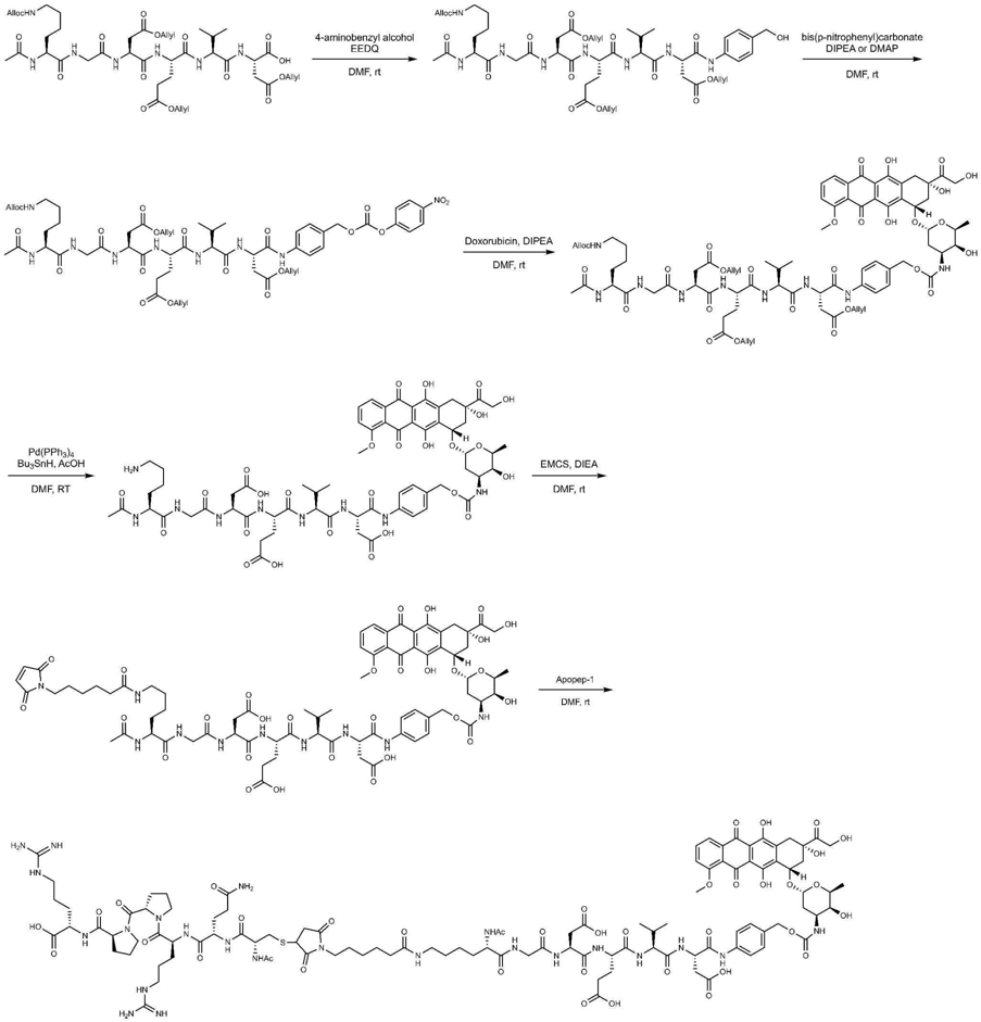 APO-DEVD-DOX의 합성 모식도