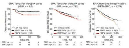 항호르몬제 내성 유방암에서 RBP2의 임상적 의의 검증 (JNCI, 2018)