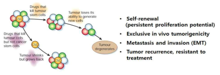 암줄기세포 특징: 항암제 내성 및 암 재발 유도