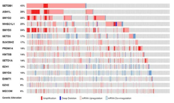 TCGA 데이터셋에서의 히스톤 메틸화조절관련 유전자 증폭 (상위 15; 유방암 환자)