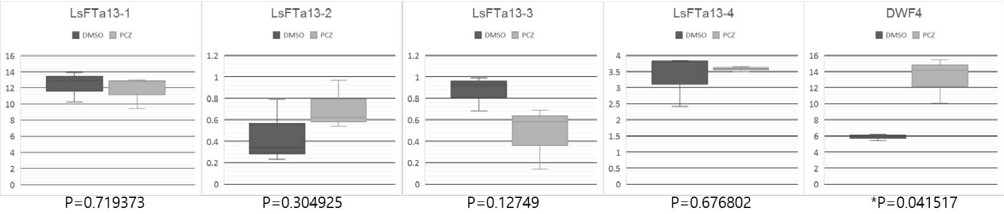 대조군 DMSO와 PCZ에 의한 GT 유전자 발현량 변화를 box plot으로 나타냄. (진한회색: DMSO, 밝은회색: PCZ) 모든 LsFTa13 유전자에서 큰 변화 없었음. DWF4는 PCZ에 가장 영향을 많이 받는 유전자 중 하나로써 positive control로 추가함