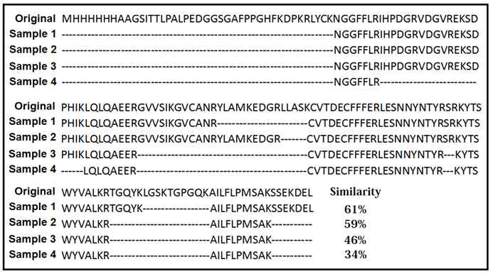 Polymer 형태의 단백질 서열 분석결과. Original; NCBI에 등록된 FGF2 단백질 서열, Sample 1; Crude protein (25 kDa), Sample 2~4; 두 번째 elution 용액의 25, 50, 200 kDa에 해당하는 부분 (모두 그림 37의 샘플들로 진행)