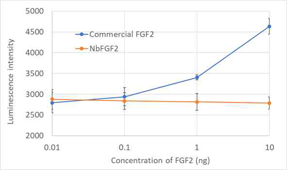 NbFGF2 (주황색)과 업체에서 구매한 FGF2 (파란색)를 NIH-3T3 섬유아세포에 4종류의 농도로 72시간 동안 처리했을 때 살아있는 세포양을 나타냄