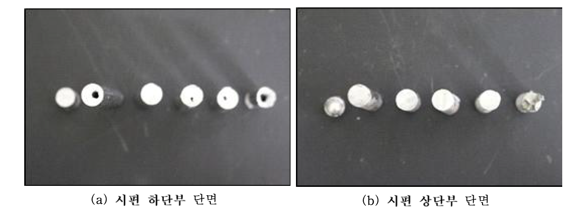 시편 절단면 모습