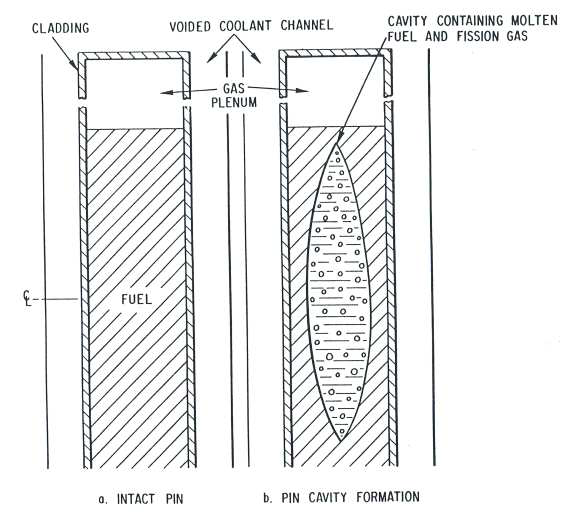 사고 초기 핵연료 내 동공 형성
