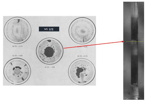 TREAT M5 실험 후 핵연료봉의 높이에 따른 절단면 사진