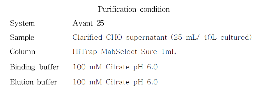 Binding and elution 정제조건