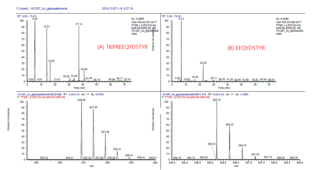 Glycosylation site 확인