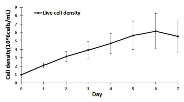 TGE 후 6일째까지는 세포의 수가 증가하다가 세포의 수와 생존도가 감소하는 7일째에 배양 종료 후 배양액을 자동화 정제장비인 AKTA purification system을 활용하여 정제 처리함