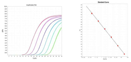 qPCR을 이용한 HCD 정량적 검증. 표준 DNA를 serial dilution하여 PCR을 수행하여 Cycle vs conconetation이 선형 관계에 있음 확인하였다