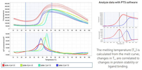 Melting curve in thermal shift assay