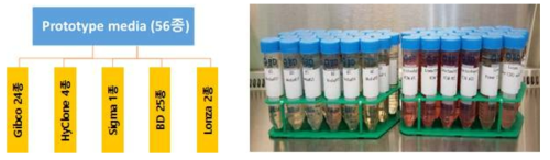 생산 세포주에 적용한 56 종의 배양액 라이브러리