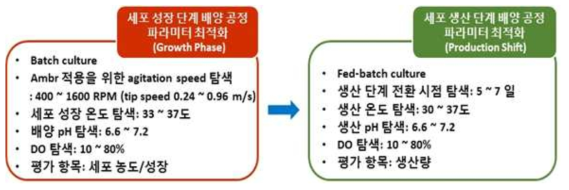 배양공정 개발 process flow