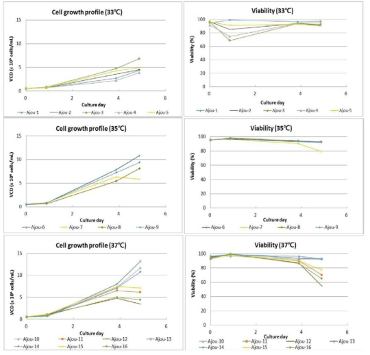 배양조건에 따른 세포 성장 곡선 및 세포 생존율 비교
