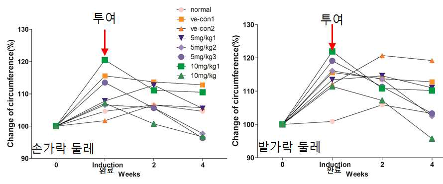 Cynomolgus monkey CIA 모델에서 항체 처리에 의한 손가락 및 발가락 둘레 변화