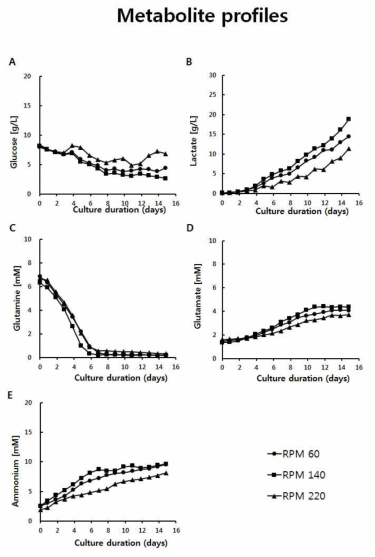 5리터 급 스케일 배양 세포 산물 (Day 15). (A) Glucose (B) lactate (C) Glutamine (D) Glutamate (E) Ammonium