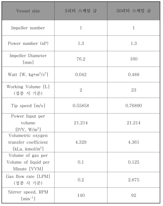 50리터 급 스케일 교반속도(RPM) 및 Gas flow rate(LPM) 조건 선정