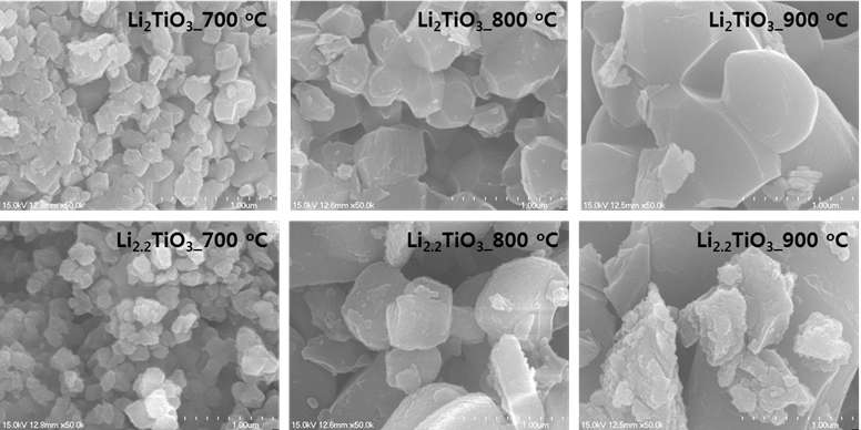 온도별 Li2TiO3 및 Li-rich Li2TiO3의 SEM 분석