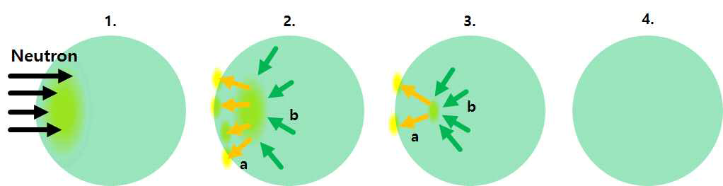 삼중수소 증식재 내 확산 메커니즘 및 삼중수소 방출 모식도