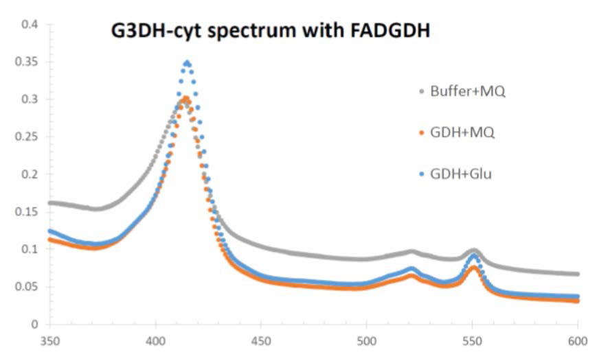 G3DH-cyt 의 용액에서의 GDH 존재 하에서 포도당에 대한 반응을 보임