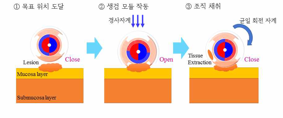 생검 메커니즘 구동 방법