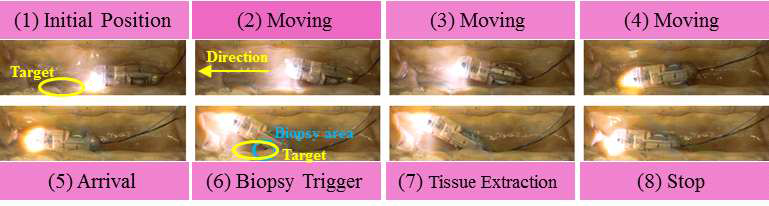 목표 위치 내 생검을 위한 캡슐 구동 방법