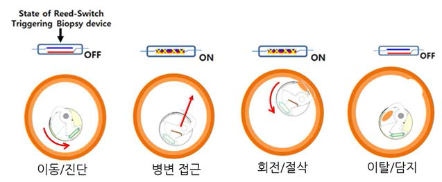 회전 운동을 통한 조직 채취