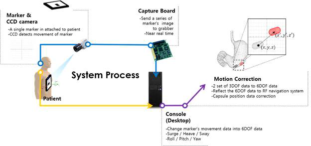 광학마커기반 캡슐내시경 위치 보정 시스템도