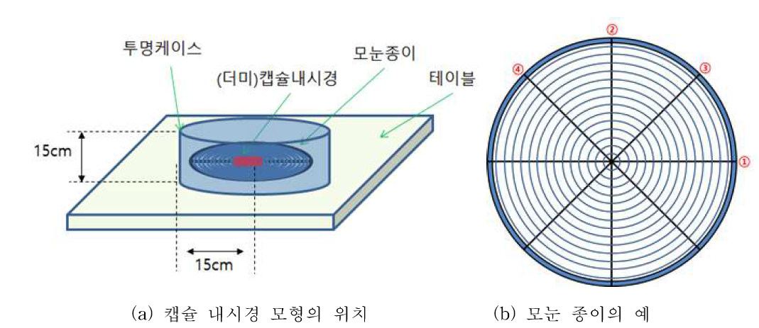 캡슐 내시경 움직임 측정을 위한 시험 구성