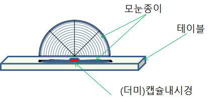 캡슐 내시경의 Z-축 움직임 측정을 위한 시험 구성