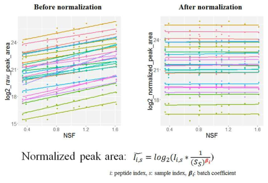 정규화 전후의 QC 샘플 펩티드 결과와 NSF 관계 및 Normalized peak area 도출 공식