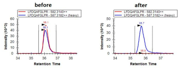 HSPB1단백질의 동위원소 치환 펩티드를 활용한 LFDQAFGLPR와 항체와의 반응성 테스트