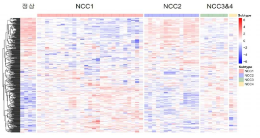 인산화 단백체 heatmap. 왼쪽부터 정상, NCC1, NCC2, NCC3 그리고 NCC4로 각각의 아형은 열로, 펩타이드는 행으로 정렬되어있음. 각각의 아형은 흰 선으로 구분됨