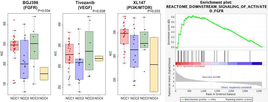 NCC2와 혈관생성 억제제 간 약물반응성 및 GSEA결과. box plot의 약물의 표적은 괄호에 적혀있으며 X축은 아형, Y축은 약물 반응값 (AUC)를 의미함. 우측은 GSEA 결과이며 FGFR과 관련된 단백질의 발현이 전반적으로 높음을 의미함