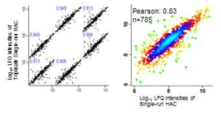 LFQ 정량 후의 Pearson Correlation 결과