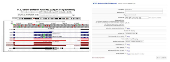 GFF 파일을 UCSC genome browser를 이용하여 본 화면 및 ACTG 툴의 GUI 웹 서비스