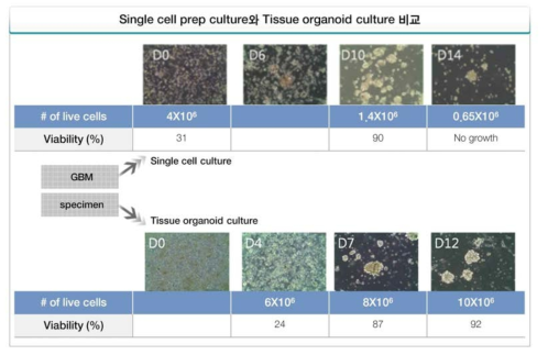 Tissue organoid 배양기법과 단일세포 배양기법의 결과 비교
