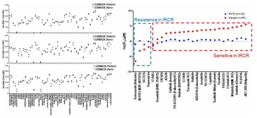 환자유래 일차배양 세포와 동샘플의 PDX 유래 세포의 항암제 감수성 비교 (좌) 및 Sanger 세포주 database와 IC50 기반 항암제 감수성 비교